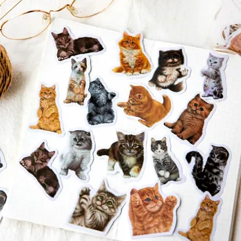 30 kusů Nálepka Kočka roztomilý zvířat samolepky retro zábavné DIY ručně účtu materiál dekorativní Mléčné Samolepky 6 druhů Obrázek